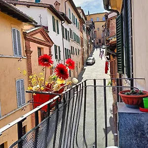 la-campanina-nel-cuore-di-siena-e-della-contrada.it-tuscanyhotel.com/